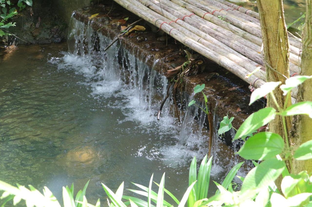Baan Rai Me Rak Organic Farmstay Pa Khlok Екстер'єр фото