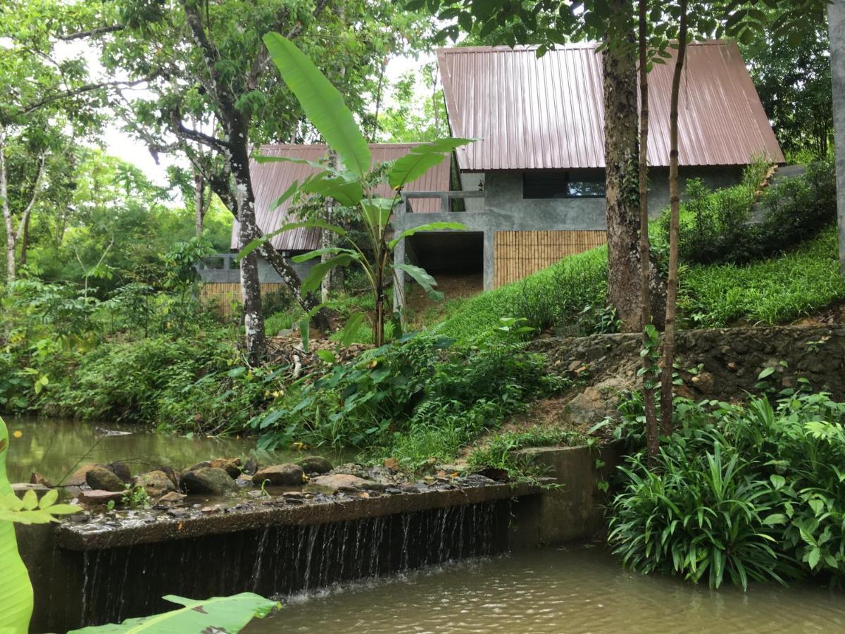 Baan Rai Me Rak Organic Farmstay Pa Khlok Екстер'єр фото